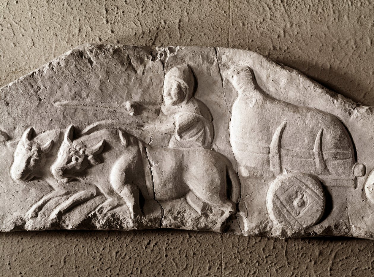 Římské umění: vyřezávaná volská nádrž, Muzeum římských starožitností, Řím od Roman Roman