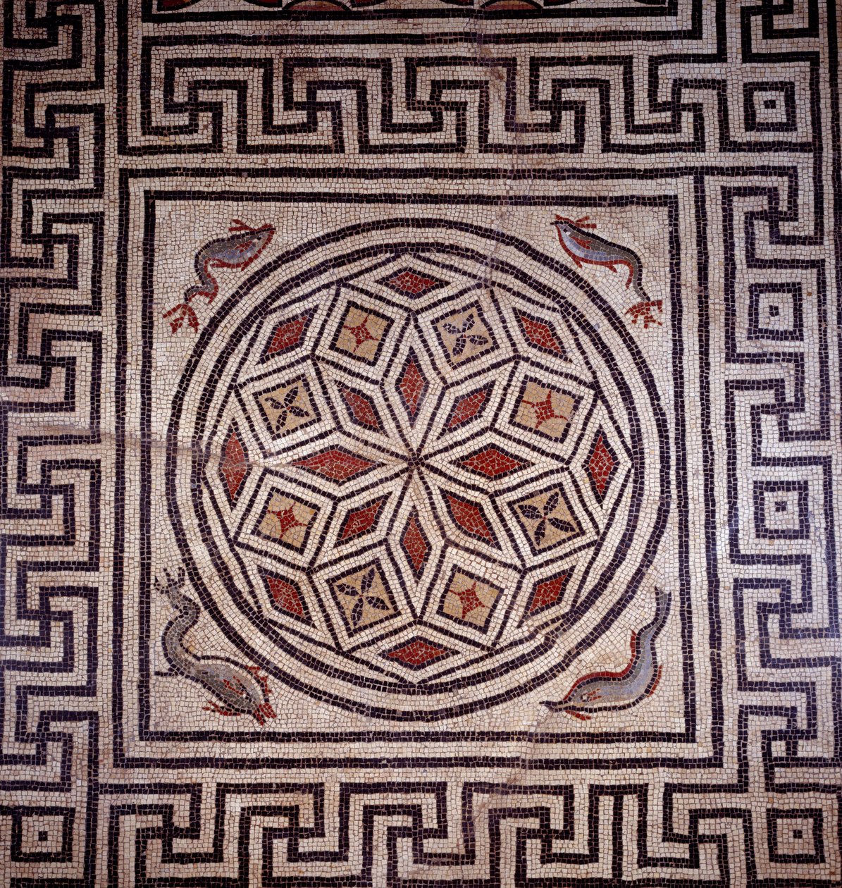 Římské umění: mozaikové dekorace delfínů. Nimes, muzeum archeologie. od Roman Roman