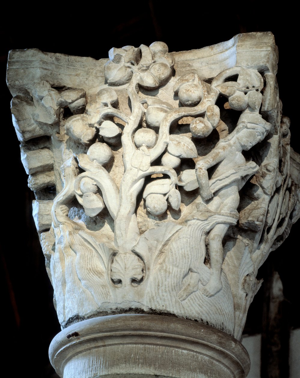 Ráj: fíkovník a jabloň, hlavní město chóru (socha od Romanesque