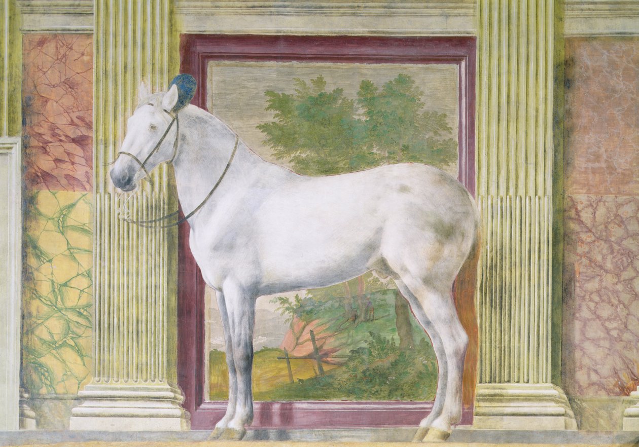 Hall of the Horses, detail zobrazující portrét šedého koně ze stájí Ludovica Gonzagy III z Mantovy od Romano Giulio