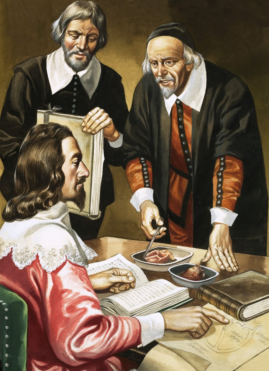Karel I. a William Harvey diskutují o srdci od Ron Embleton