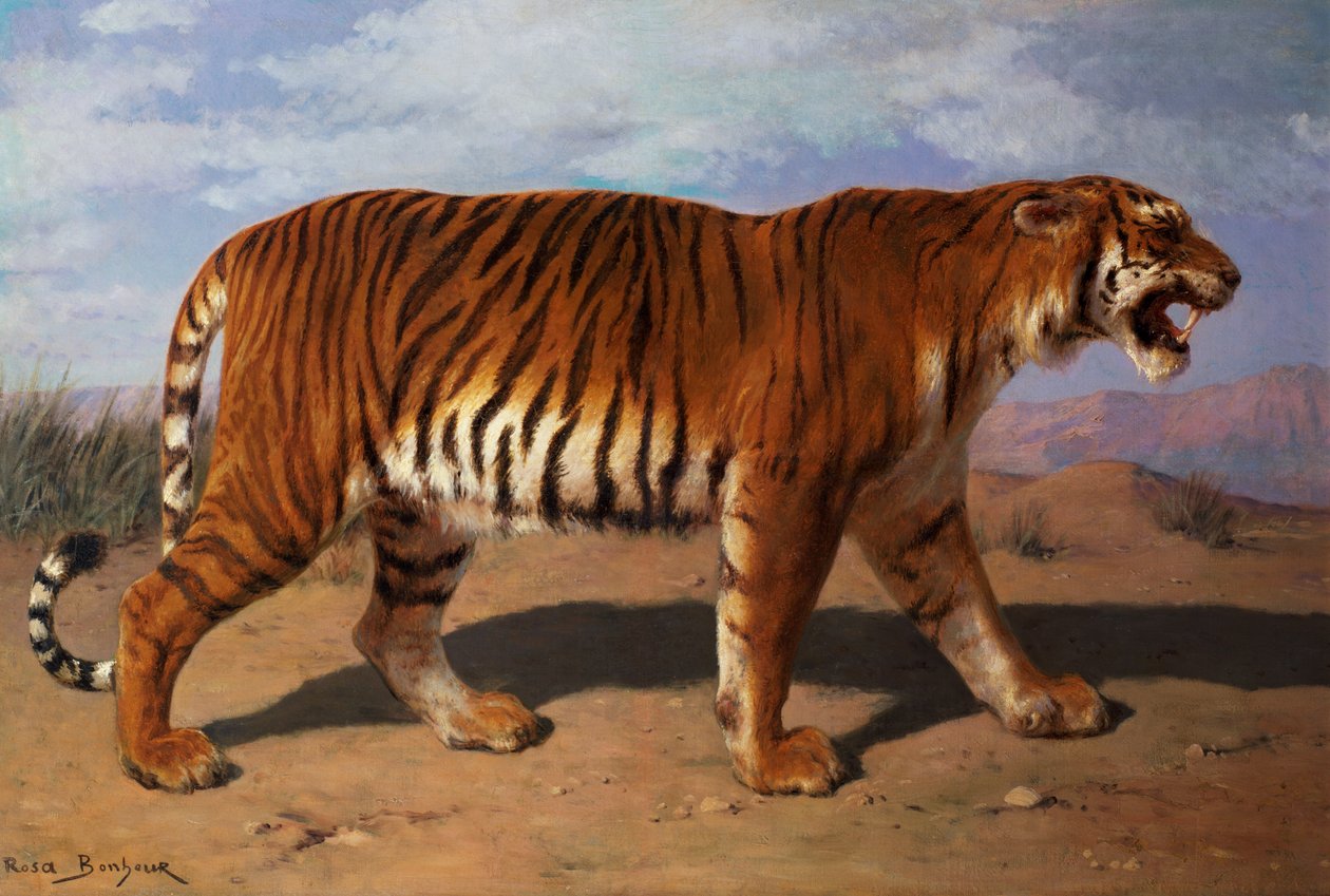 Stalking Tiger od Rosa Bonheur