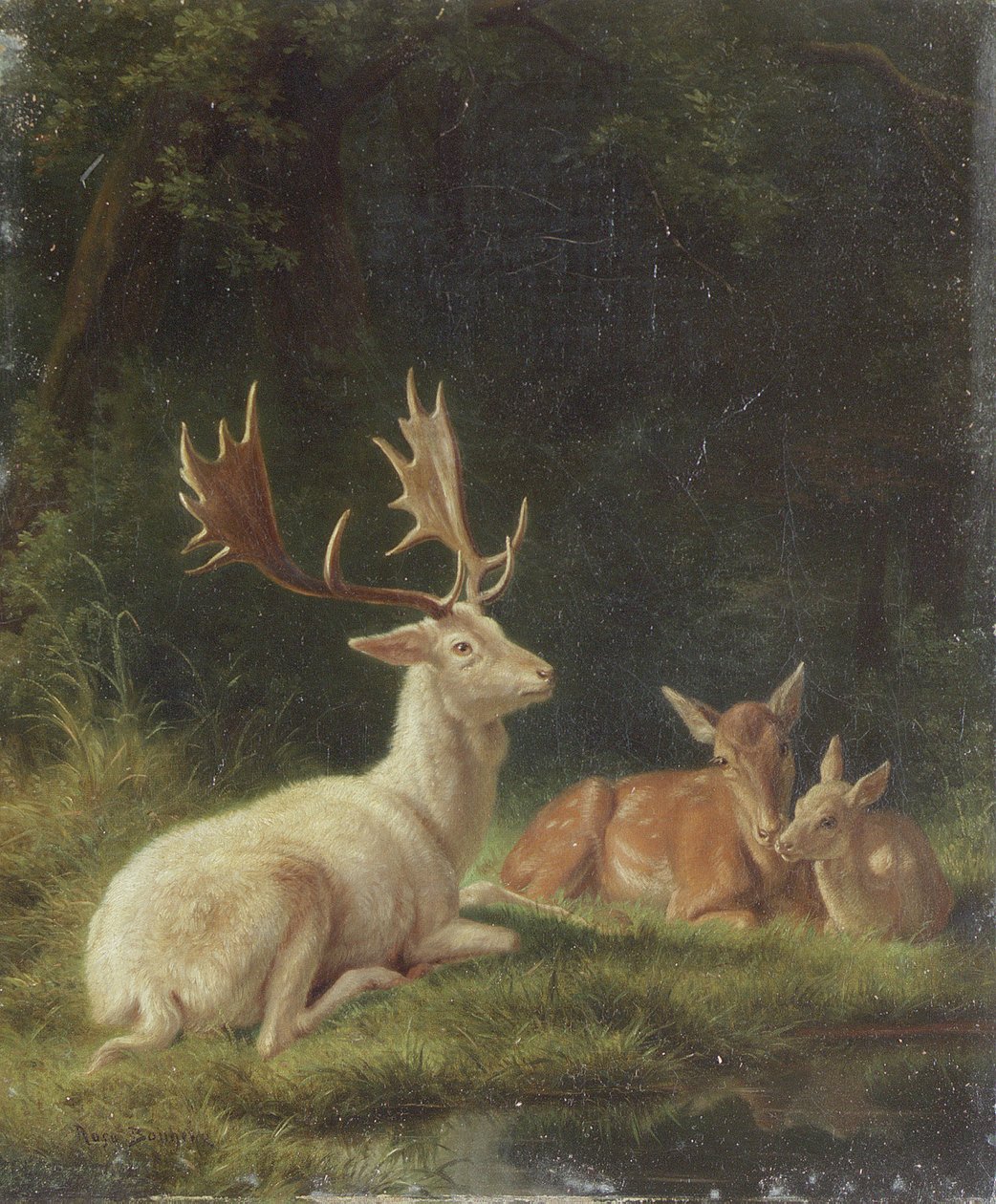 Jelen v krajině (olej na plátně) od Rosa Bonheur