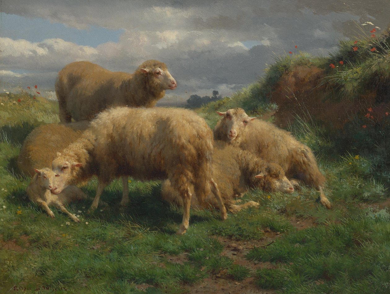 Krajina s ovcemi od Rosa Bonheur