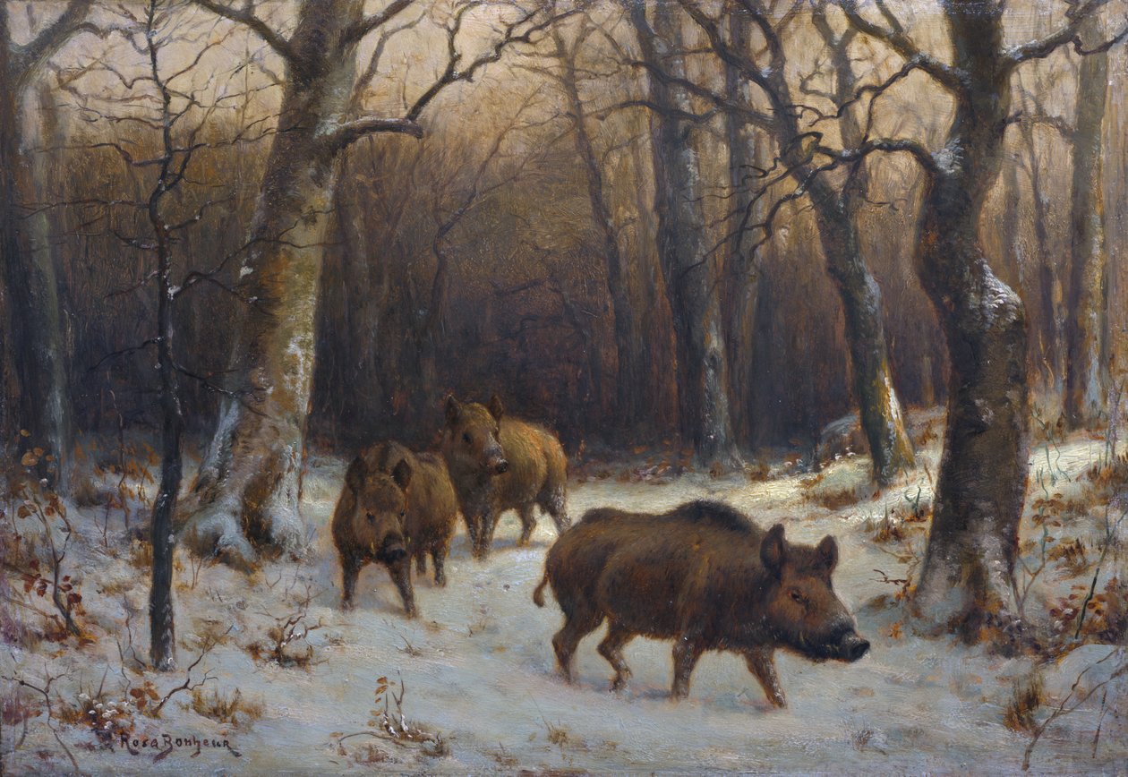 Francouzština:  Sangliers dans la neige Divočáci na sněhu od Rosa Bonheur