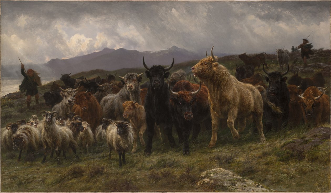 Nájezd na Vysočině od Rosa Bonheur
