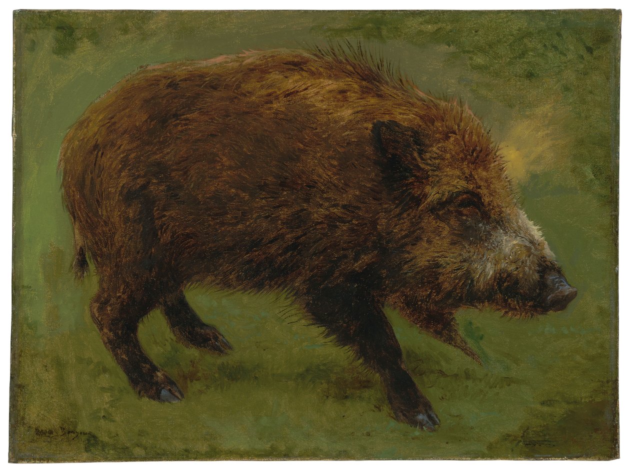 Divoké prase (olej na plátně) od Rosa Bonheur