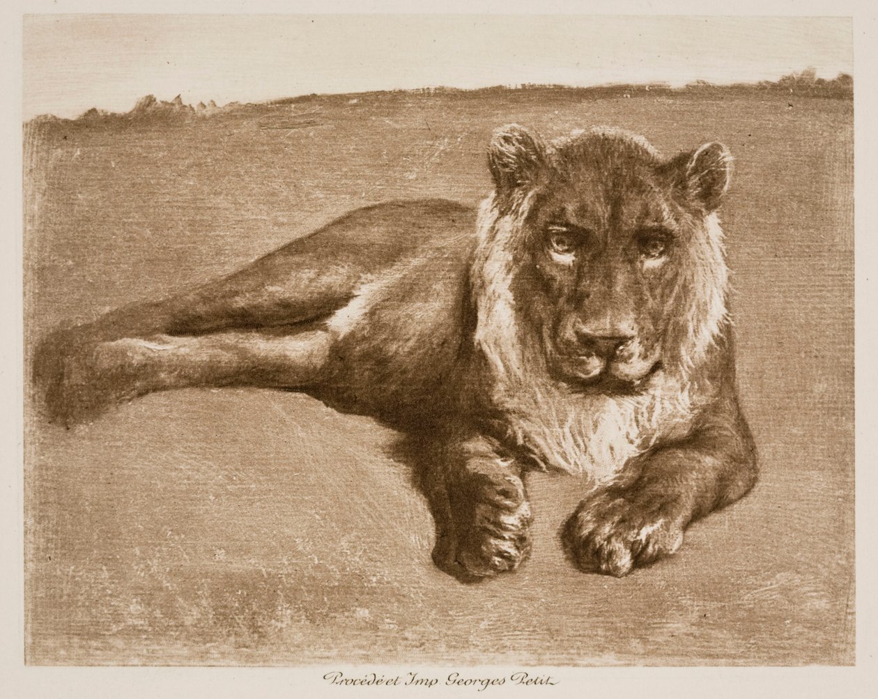 Lev od Rosa Bonheur