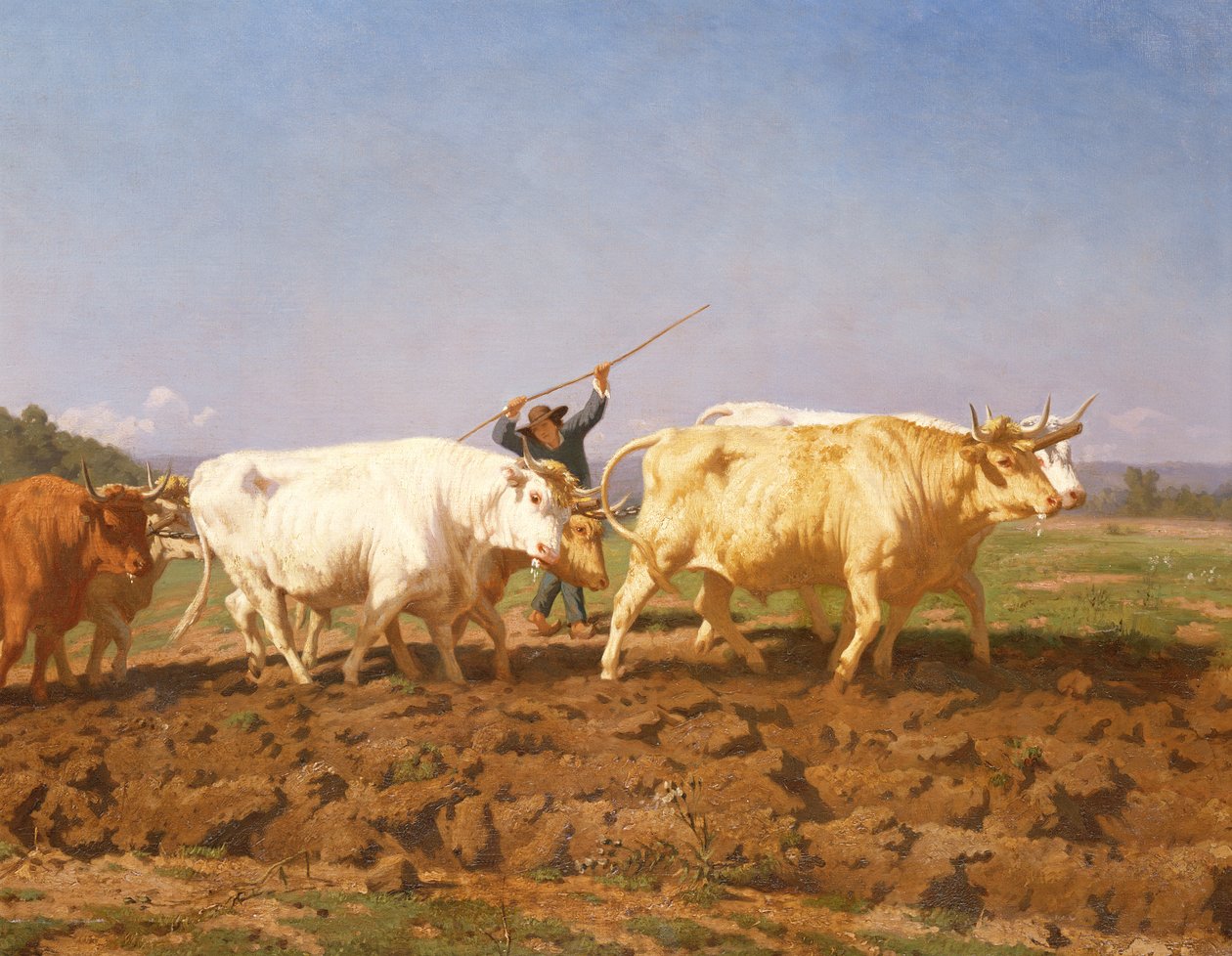 Orba v Nivernais, 1850 detail 60149 od Rosa Bonheur