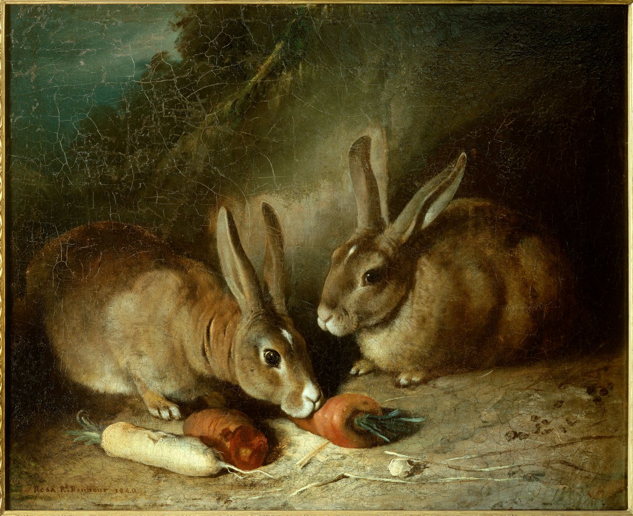 králíci. Obraz od Rosy Bonheur (1822-1899) od Rosa Bonheur