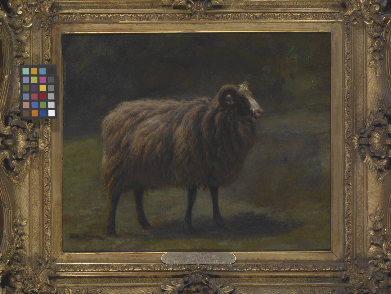 Ram (olej na plátně) od Rosa Bonheur