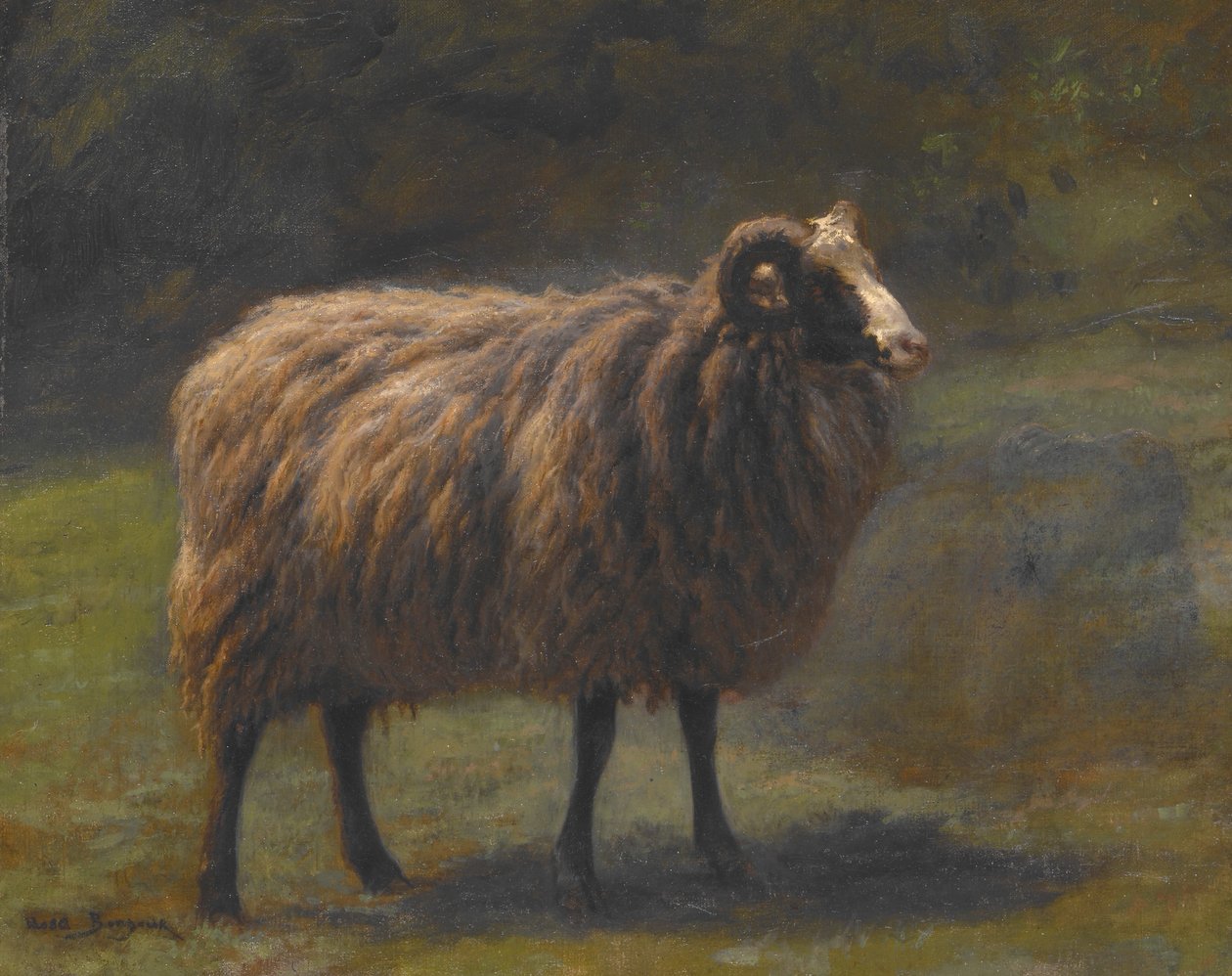 Beran od Rosa Bonheur