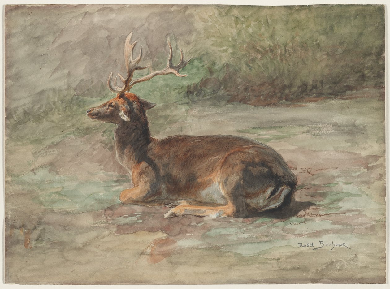 Ležící jelen, druhá polovina 19. století. od Rosa Bonheur