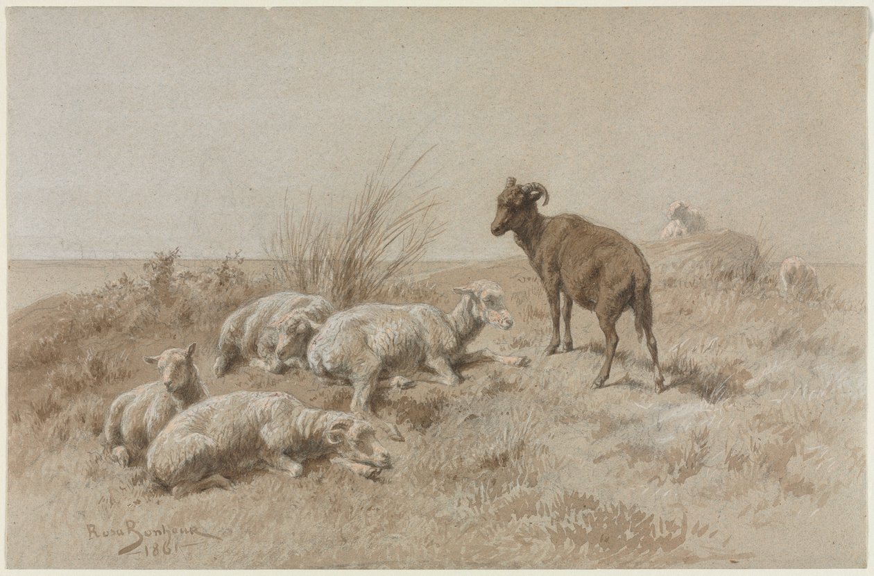 Ovce od Rosa Bonheur