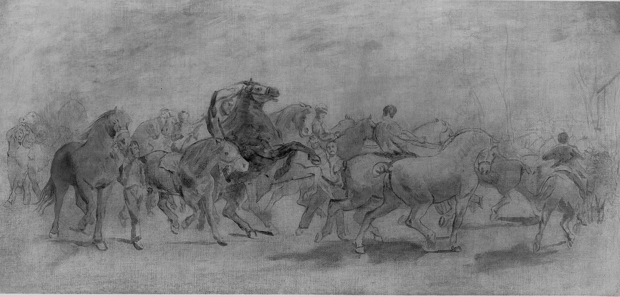 Studie pro The Horse Fair od Rosa Bonheur
