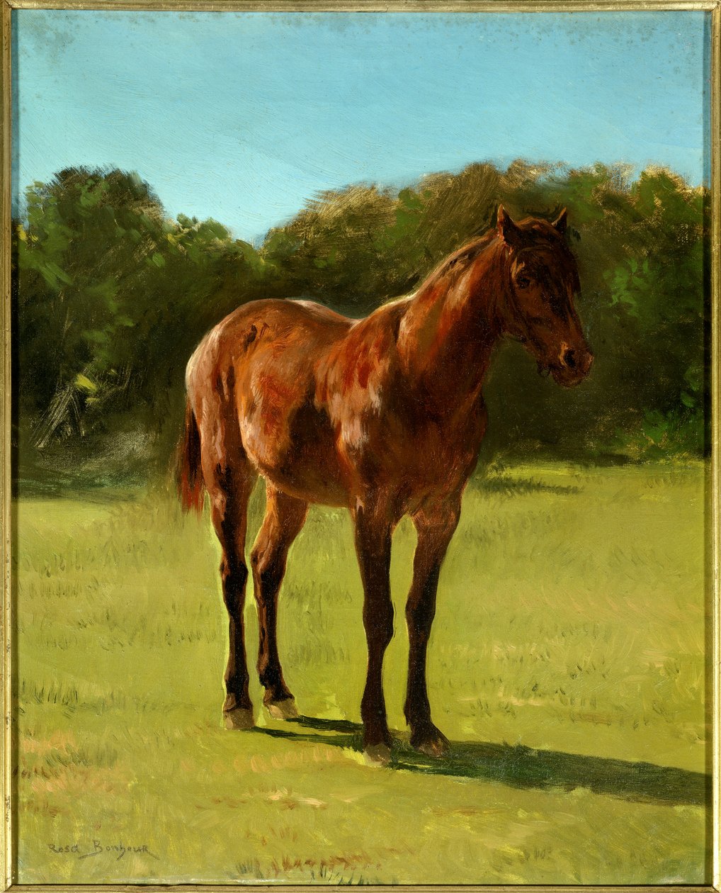 Studie koňské bai cherry. Obraz od Rosy Bonheur (1822-1899) od Rosa Bonheur