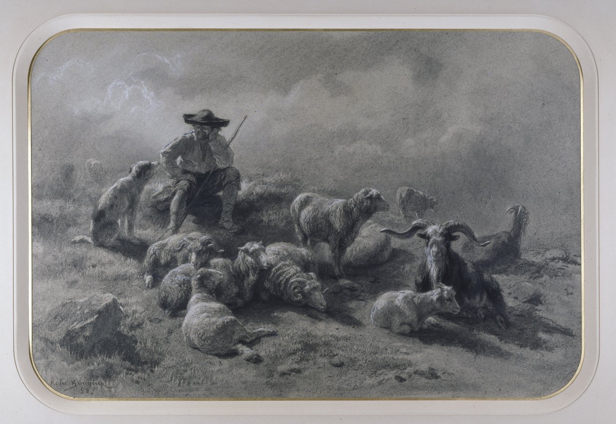 Rozhovor od Rosa Bonheur