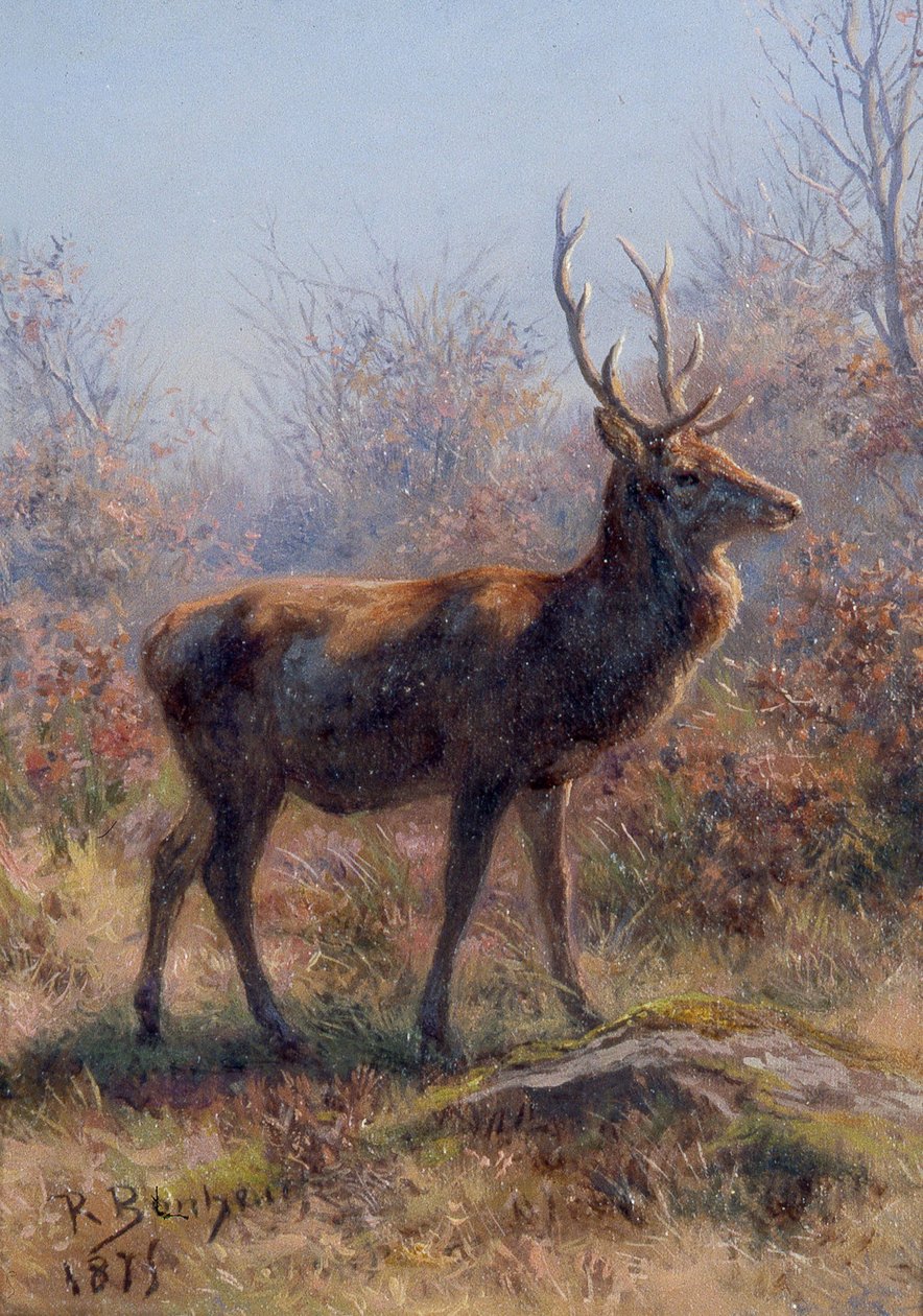 The Stag od Rosa Bonheur