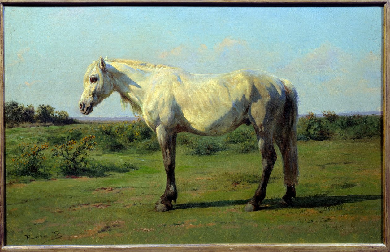 Bílý kůň v pre. Obraz od Rosy Bonheur (1822-1899) od Rosa Bonheur
