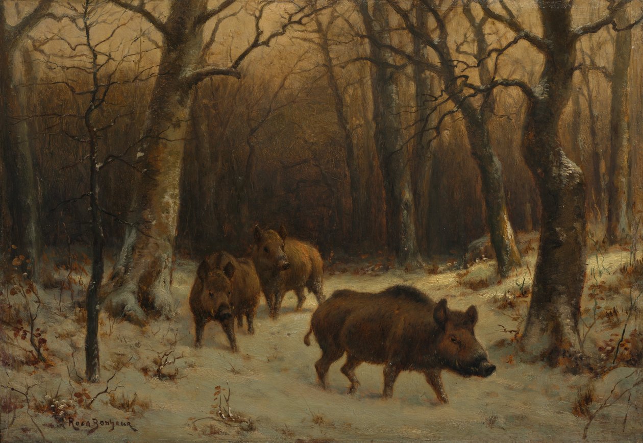 Divočáci ve sněhu, kolem 1872-77 (olej na dřevěné desce) od Rosa Bonheur