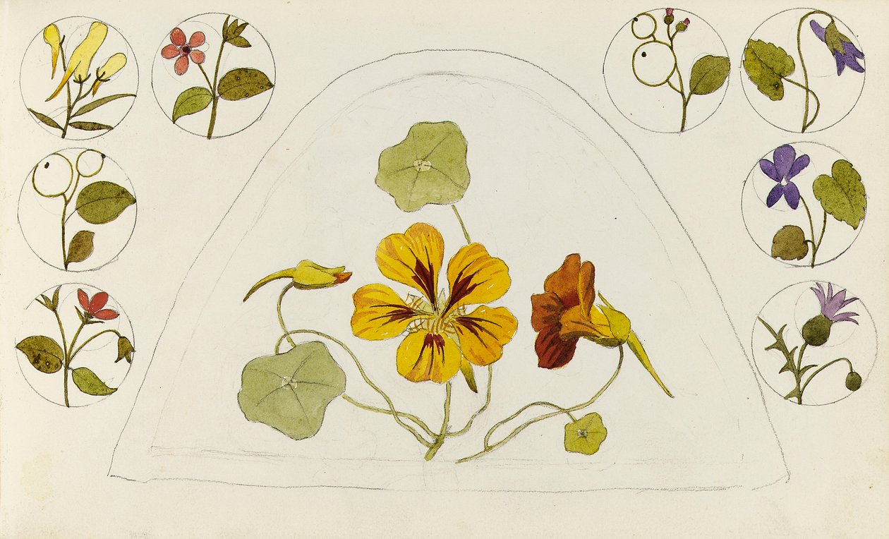 Návrhy s nasturtium a dalšími květinami od Rosa Brett