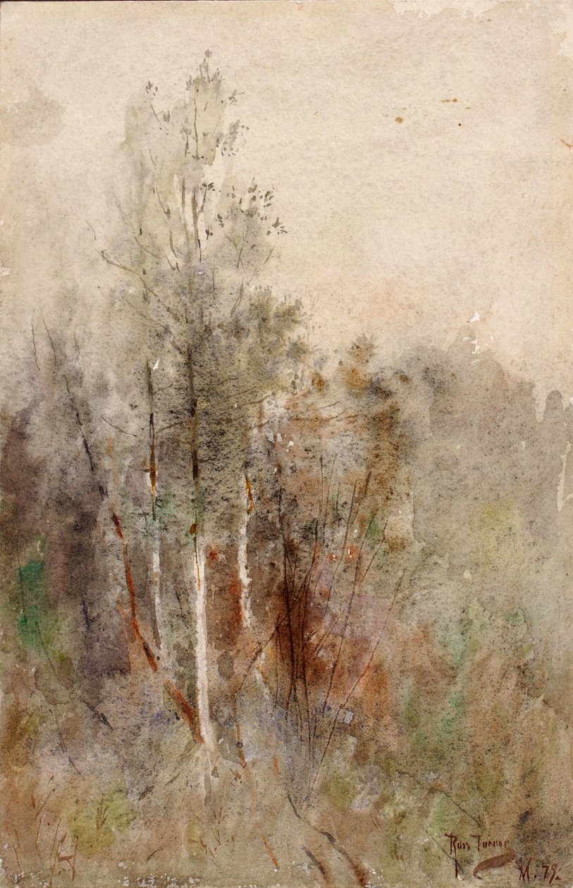 Studie stromů od Ross Turner