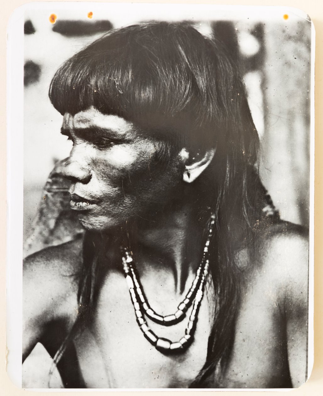 Ifugao z vesnice Pindungan, 1919 (černobílá fotografie) od Roy Barton