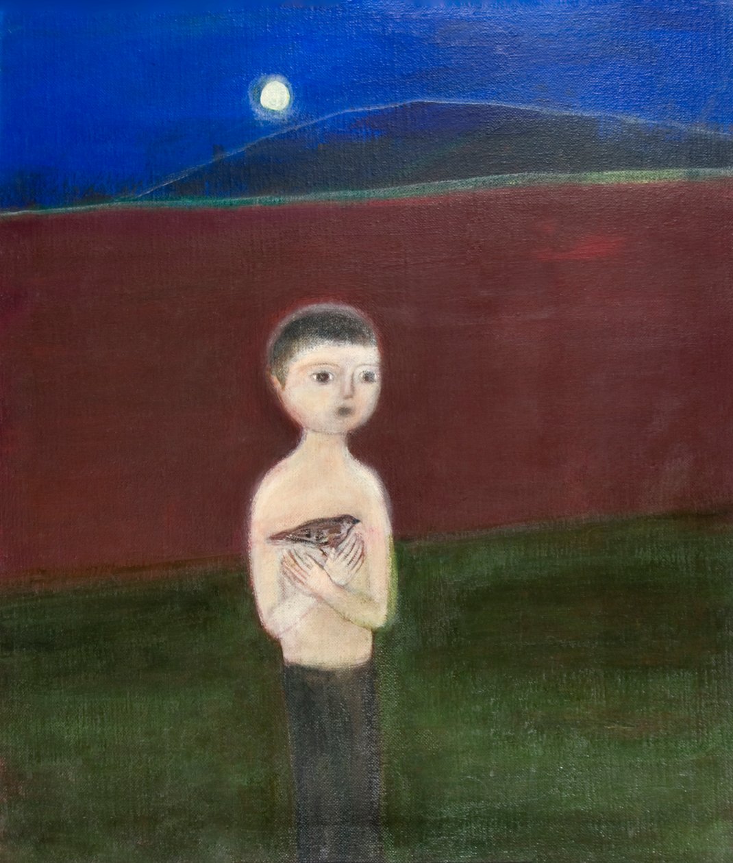 Chlapec a vrabec, 2011 od Roya Salari