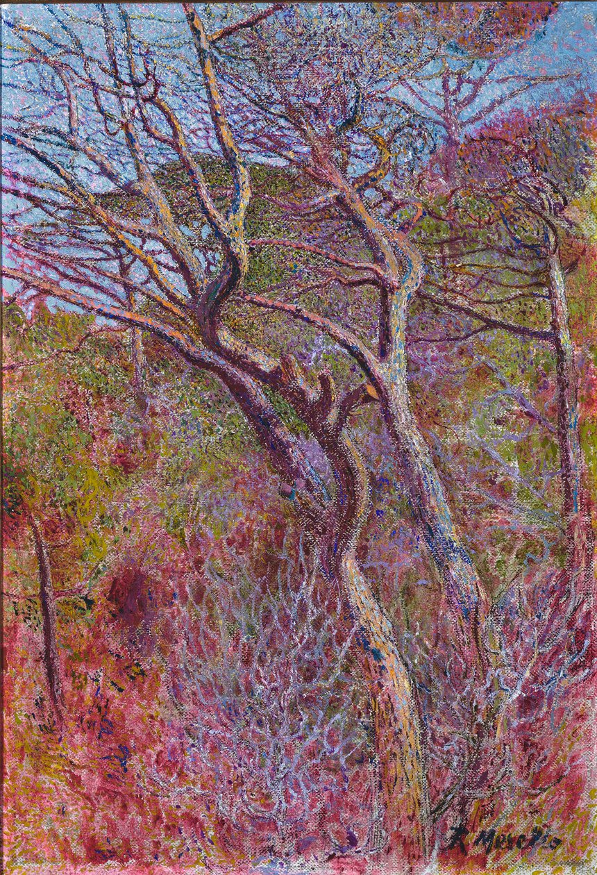 Krajina, ateliér, kolem 1907 od Rubaldo Merello