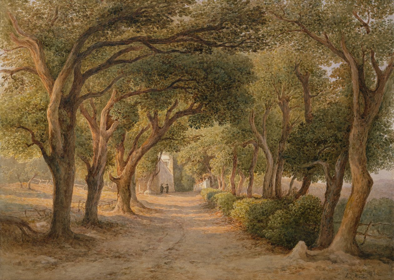 Castel Gandolfo (akvarel na papíře) od Rudolf Müller