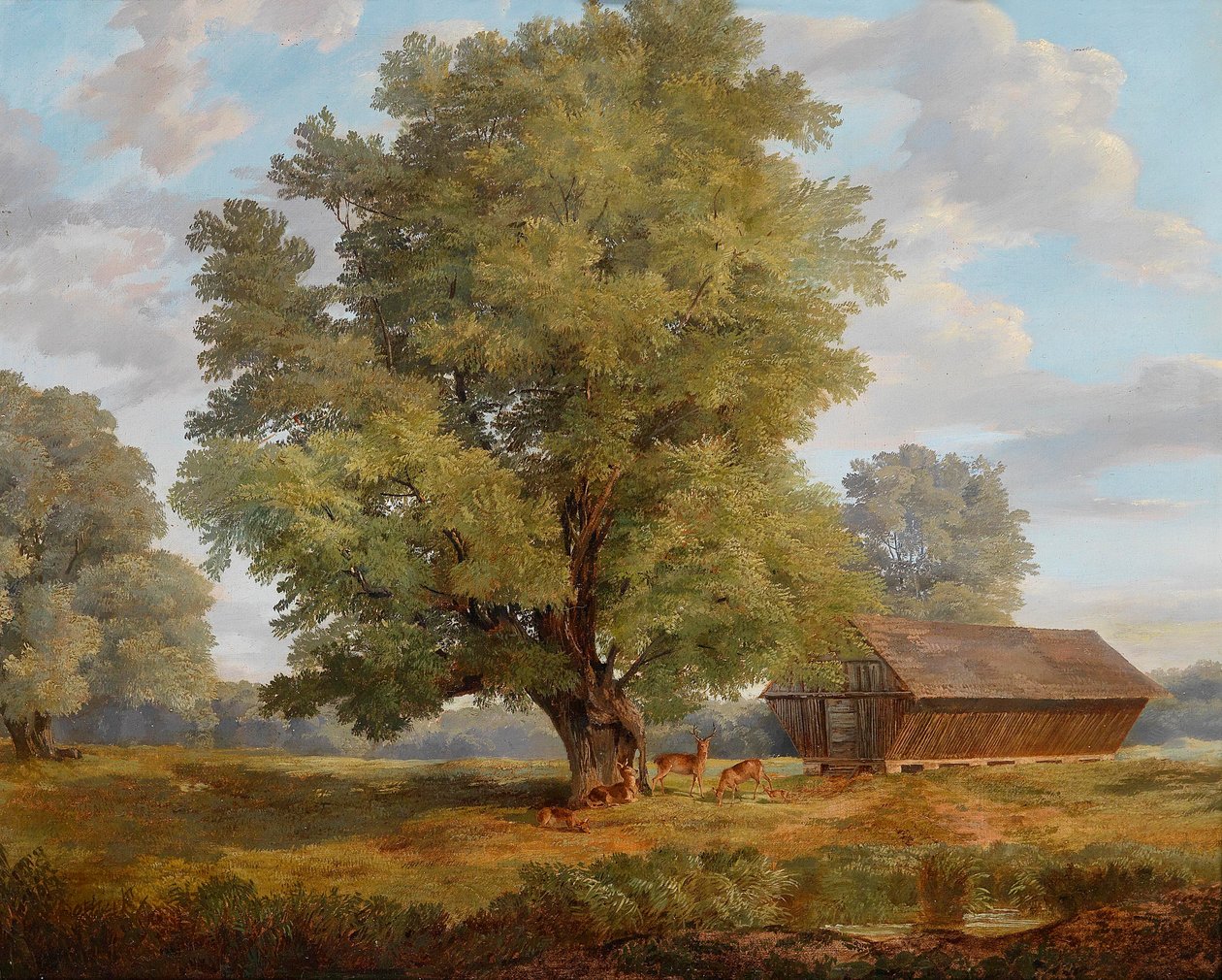 Jelen v Praterau od Rudolf Swoboda