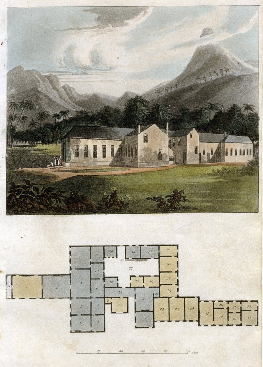 Pohled a plán Longwood House, Svatá Helena: Rezidence Napoleona Bonaparta od Rudolph Ackermann