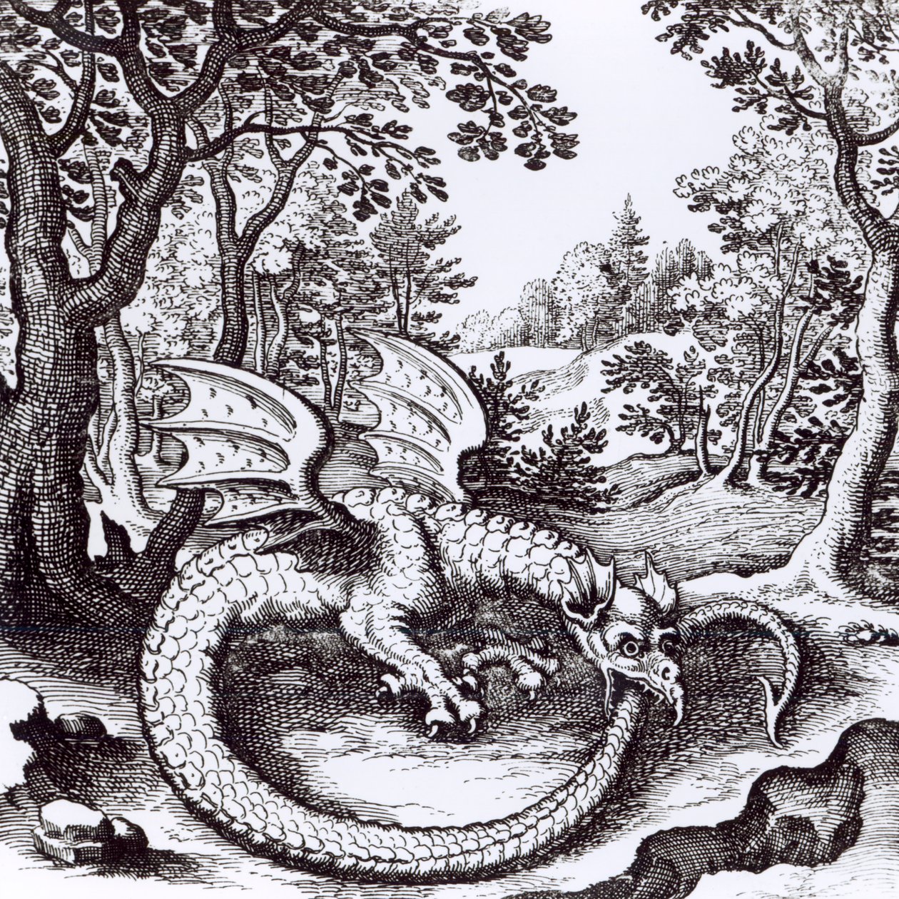 Drak v lese, z „Musaeum Hermeticum Reformatum“ od Basila Valentina, 1678 od Russian School