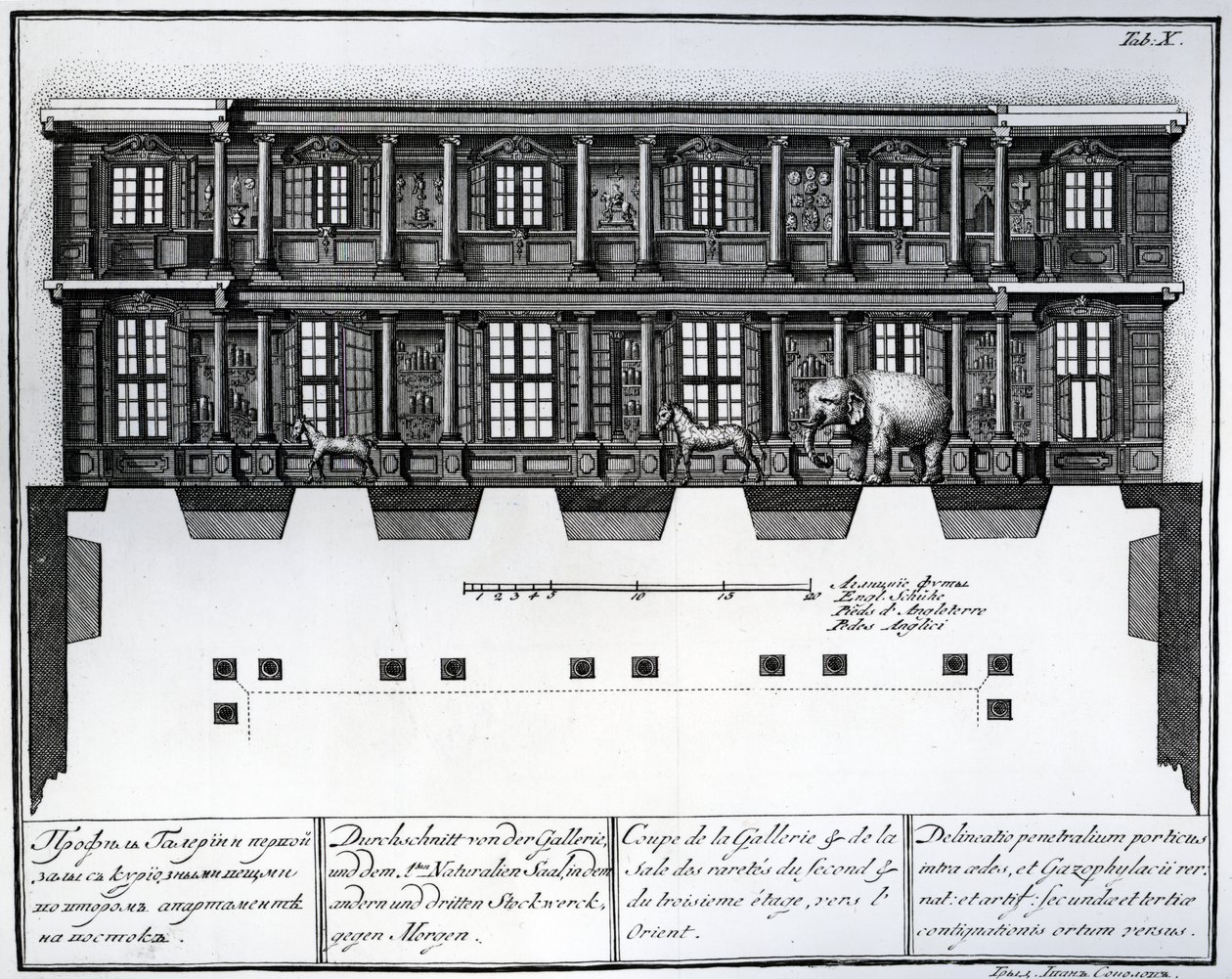 Pohled v řezu na druhé a třetí patro Síně rarit při pohledu na východ, ilustrace v komnatách knihovny a galerie Císařské akademie věd v Petrohradě zobrazující plány, Fac od Russian School
