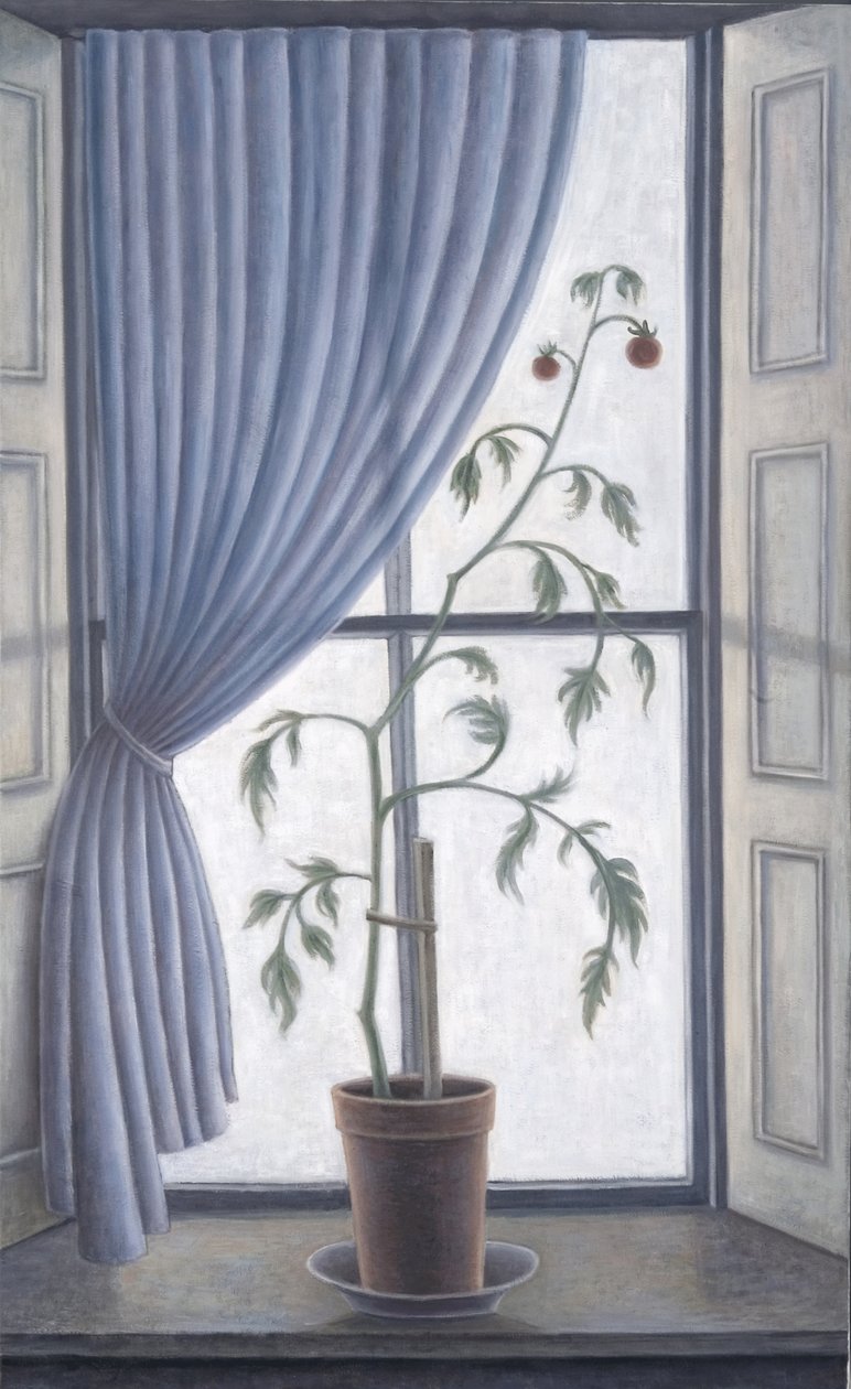Plant in Window, 2003 od Ruth Addinall