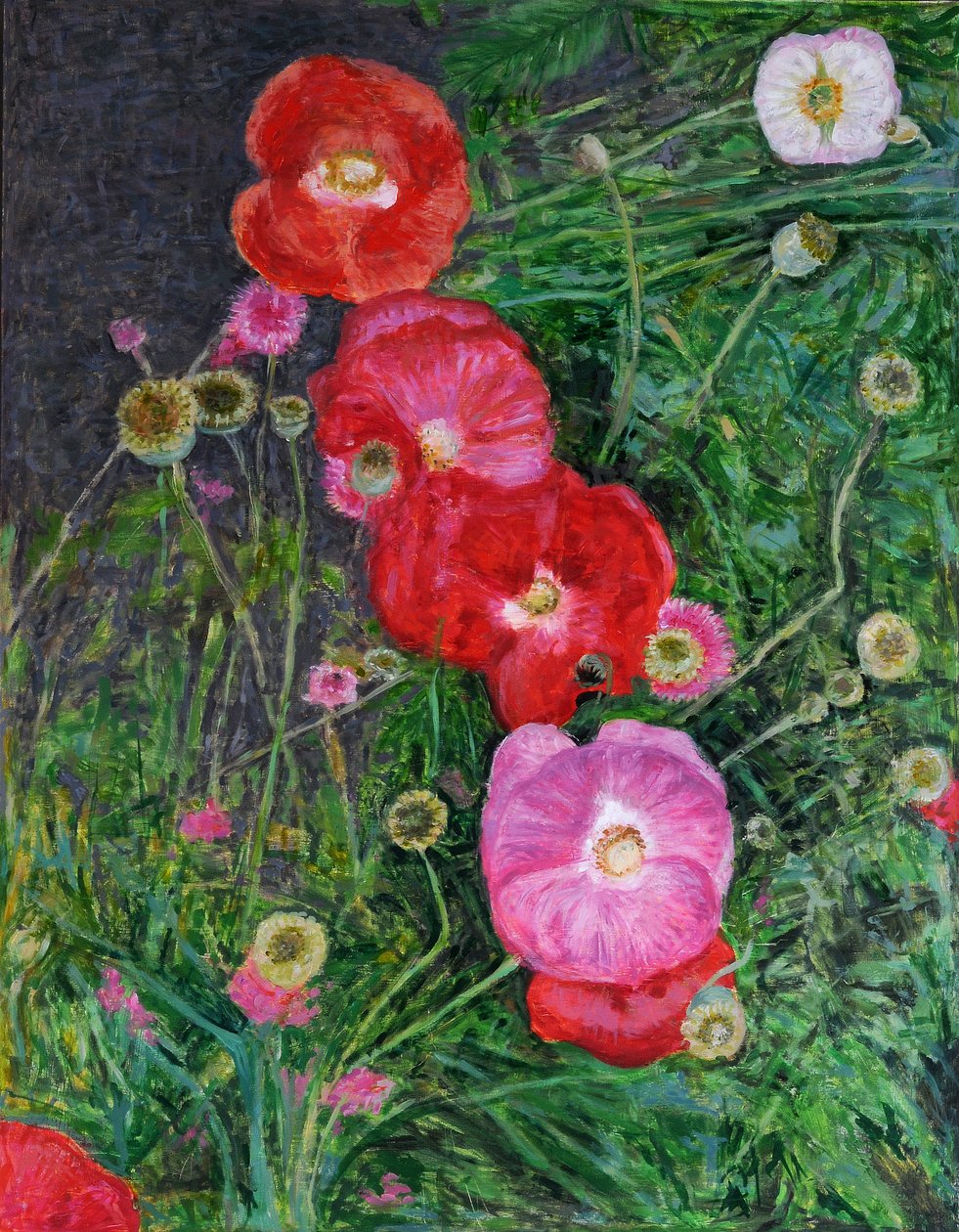 Mák, 2009 (olej na dřevě) od Ruth Addinall