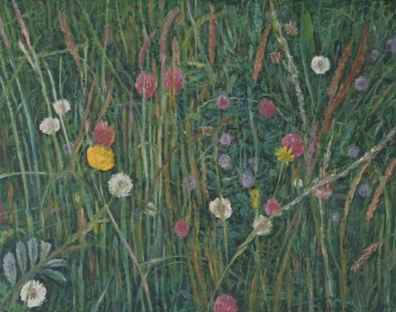 Rostliny Machair, 2008 od Ruth Addinall