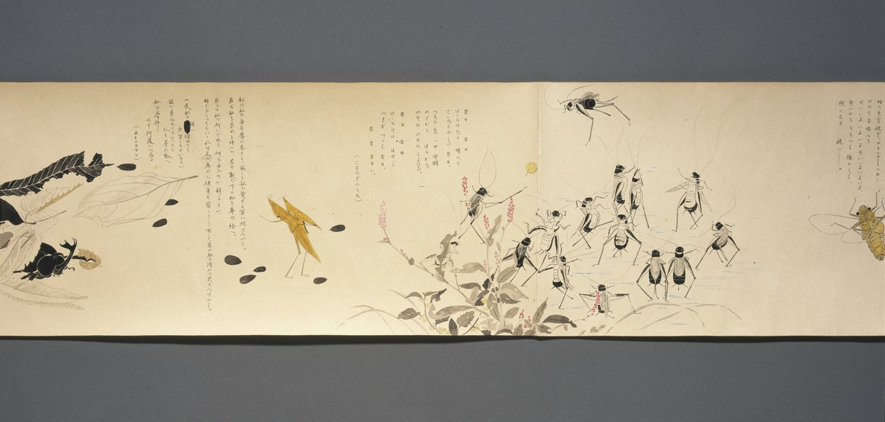 Přátelé divoké zvěře (Yasei no Tomo), období Taisho, 7. rok Taisho, kolem 1918 (inkoust a wc na tkaném papíře zdobené slídou) od Ryoka Kawakami