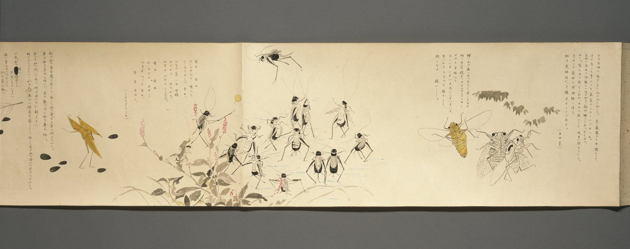 Přátelé divoké zvěře (Yasei no Tomo), období Taisho, 7. rok Taisho, kolem 1918 (inkoust a wc na tkaném papíře zdobené slídou) od Ryoka Kawakami