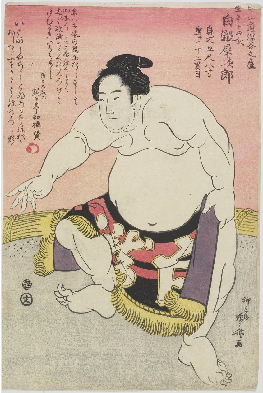 Tesmo _ Wre ster Shirataki Noodles _ od Ryuryukyo Shinsai