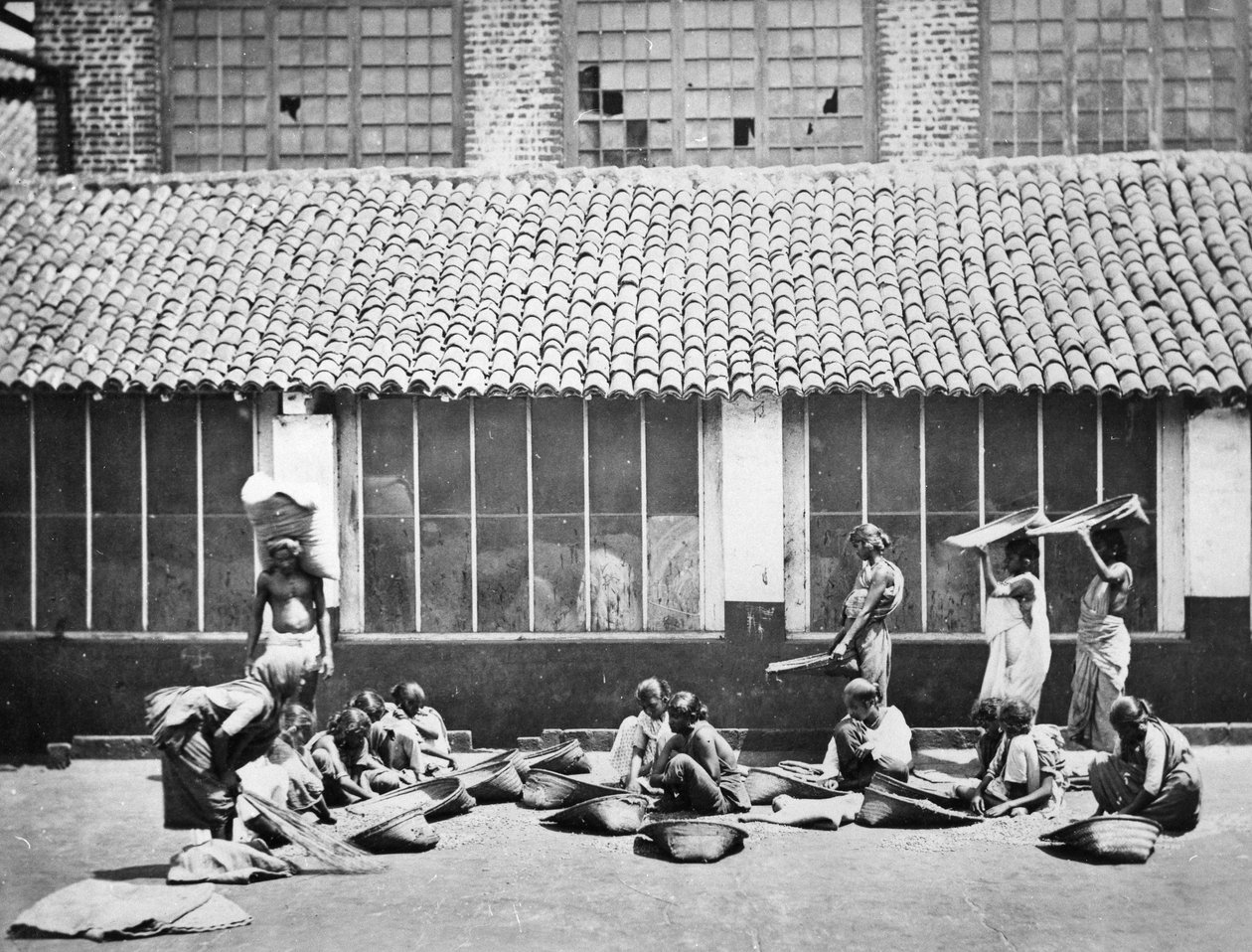 Čištění a třídění kávy, Colombo, 1870 od S. and Shepherd, C. Bourne