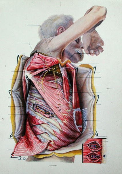Pitva pravé boční strany hrudníku, z knihy o anatomii (barevná rytina) od S. Dupret