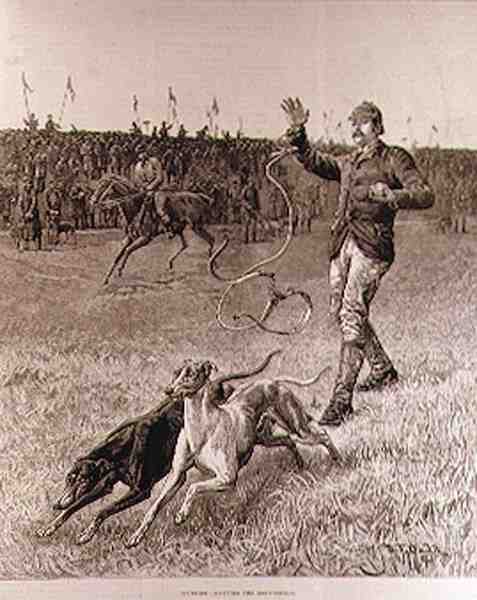 Coursing: Slipping the Greyhounds, z 