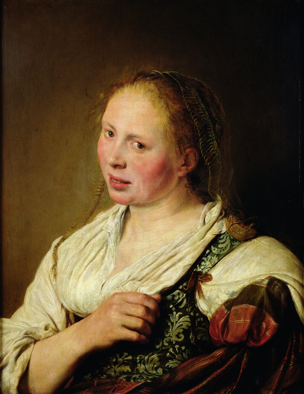 Obraz mladého rolníka od Salomon de Bray