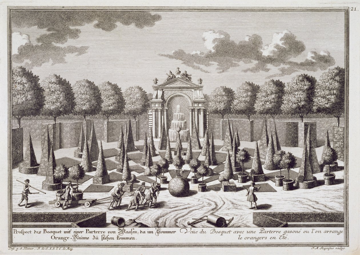 Parter s pomerančovníky v zahradě Lichtenštejnského paláce ve Vídni, rytina Franze Michaela Regenfuse (asi 1712-80), vydáno asi 1724-37. od Salomon Kleiner