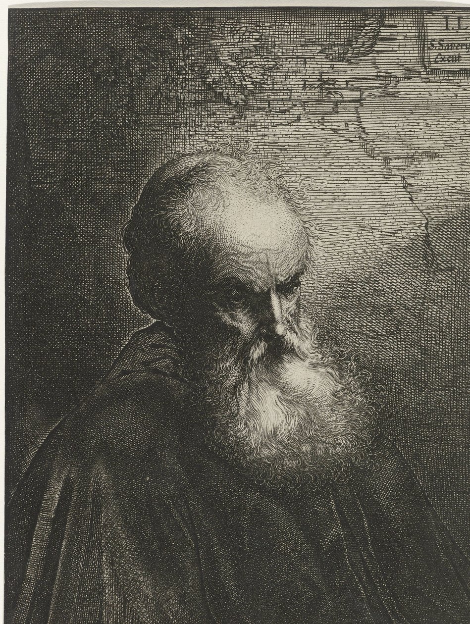 Portrét starého muže s plnovousem od Salomon Savery
