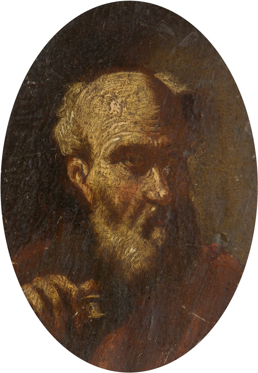 Hlava starého muže od Salvator Rosa