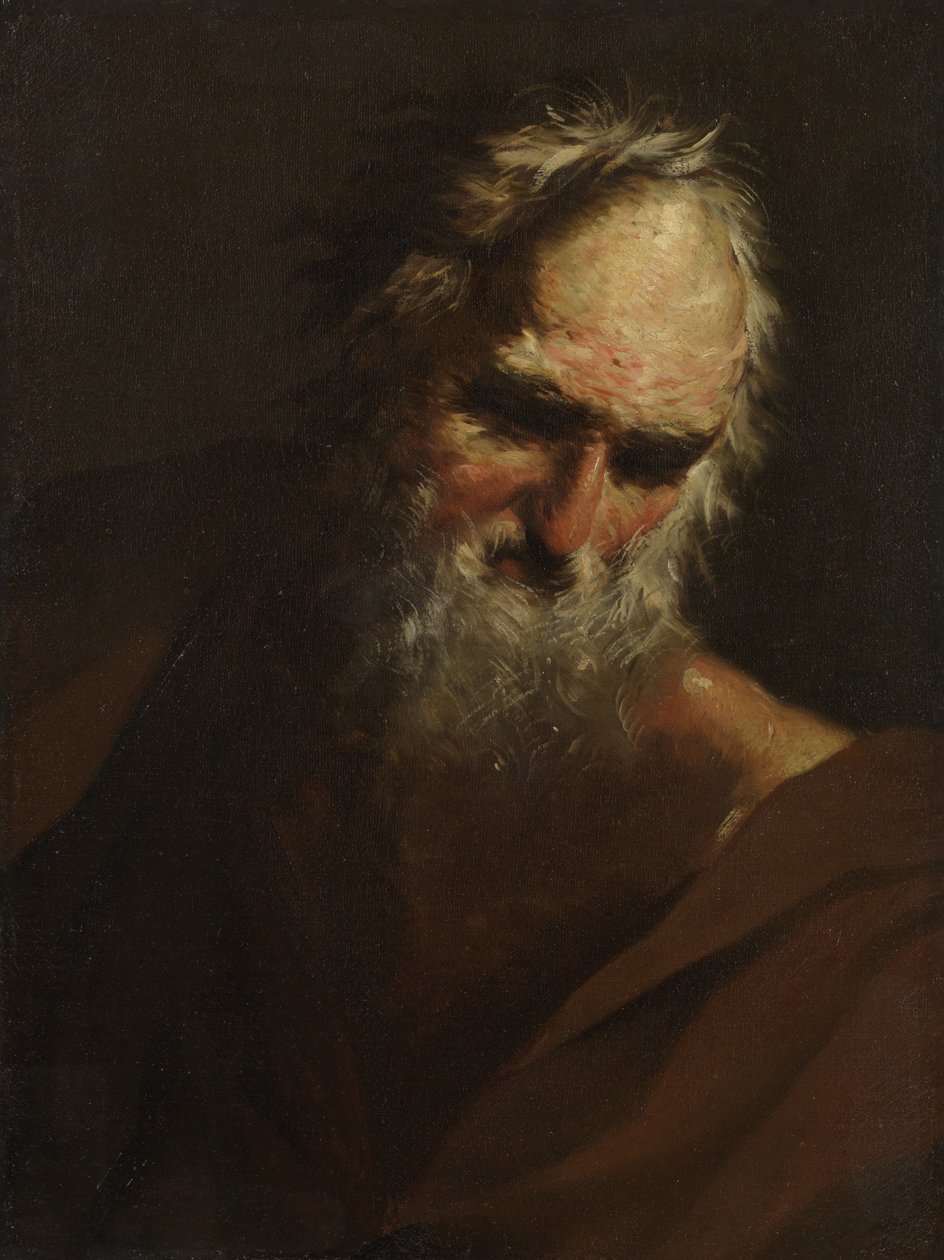 Hlava vousatého muže, kolem 1640-80 od Salvator Rosa