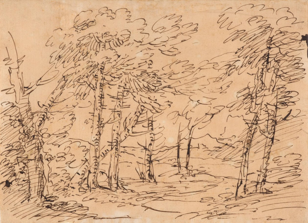 Krajina se stromy a horami v pozadí od Salvator Rosa