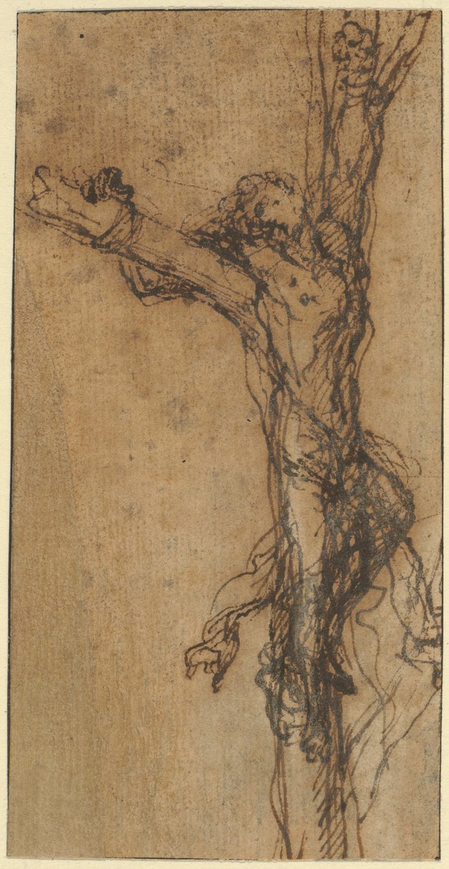 Studie na Polykratovo ukřižování od Salvator Rosa